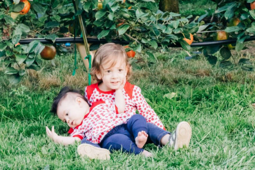 Apple Picking Shirts