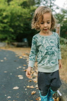Raglan Reduex