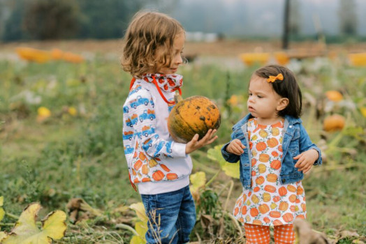 A Trip to the Pumpkin Patch