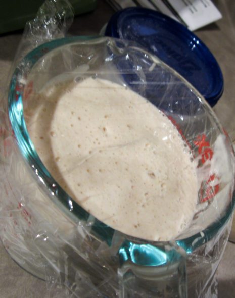 Sourdough Starter